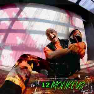 Victor Solf - album 12 Monkeys Mixtape (2020)