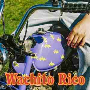 ​boy pablo - album Wachito Rico (2020)