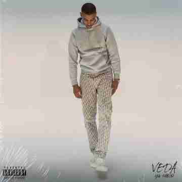 YG Pablo album VEDA