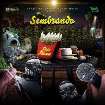 Peso Pluma Album Sembrando Lyrics